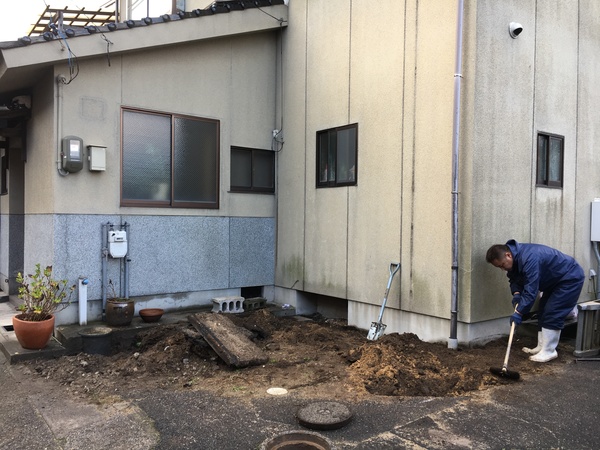 さいか